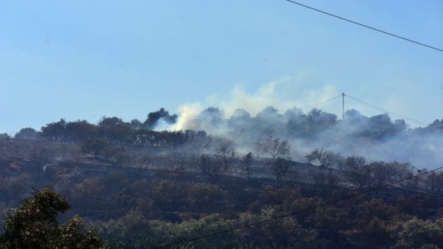 Φωτιά στην Αργολίδα: Οριοθετήθηκε – Κοντά σε σπίτια έφτασαν οι φλόγες, εκκενώθηκε ξενοδοχείο