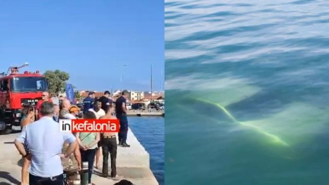 Σοκ στη Κεφαλονιά: Πάτησε γκάζι και έπεσε με το αυτοκίνητο στη θάλασσα – Οι πρώτες εικόνες από το σημείο