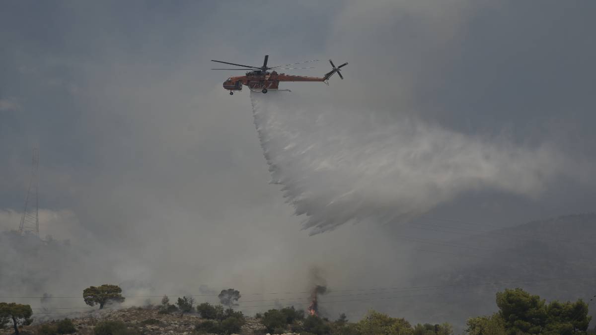 Φωτιά στην Αργολίδα (photo)