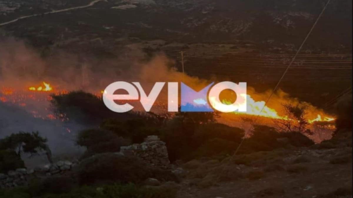 Φωτιά στην Εύβοια: Στις φλόγες οι Ραπταίοι! Πνέουν ισχυροί άνεμοι – Στη μάχη της κατάσβεσης και εθελοντές