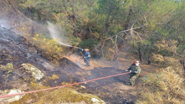 Φωτιά στον Έβρο – Επιχειρούν επίγειες δυνάμεις