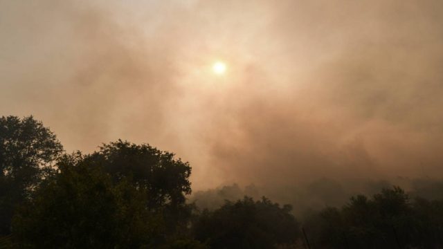Φωτιά στην Σπιάντζα Ηλείας