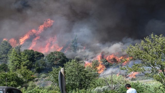 Πύρινη «κόλαση» στην Πελοπόννησο: Φλόγες κατακαίνε μεγάλες εκτάσεις σε Γύθειο και Πύργο Ηλείας (photos-video)