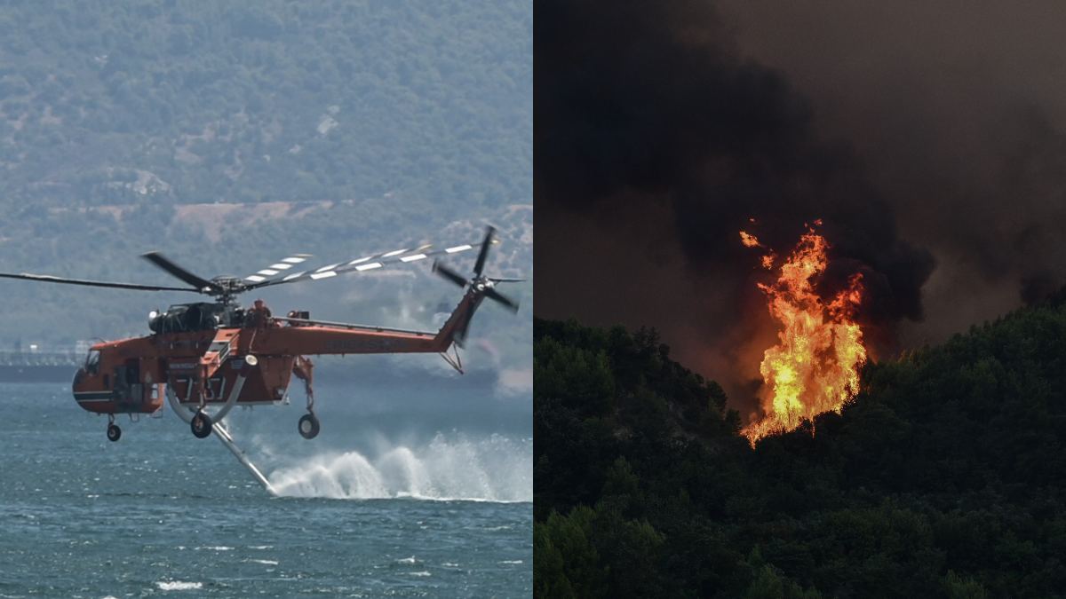 Φλέγεται το «Περιβόλι της Παναγίας»: Παίρνει διαστάσεις η φωτιά στο Άγιο Όρος – Σημαντική ενίσχυση δυνάμεων πυρόσβεσης από γη και αέρα (video)