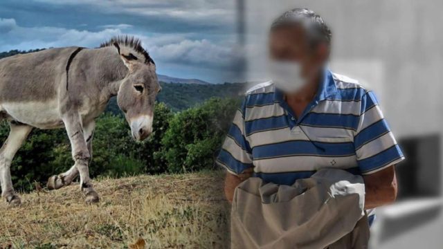 Ζίτσα Ιωαννίνων: Τέλος το μαρτύριο για το γαϊδουράκι! Του έγινε… ευθανασία – Οργή από τους συγχωριανούς για τον πρώην αντιδήμαρχο (Video)