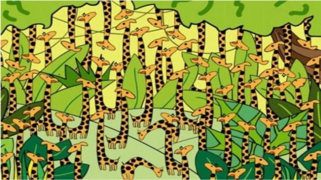 Όλοι αποτυγχάνουν: Αν βρείτε το φίδι στην φωτογραφία μέσα σε 5 δευτερόλεπτα, έχετε τρομερή αντίληψη!