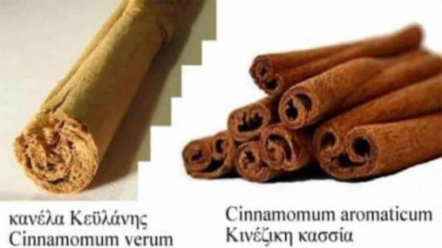 Αποκάλυψη στην κουζίνα: Το μεγάλο μυστικό της κανέλας που δεν ξέρουν ούτε οι γιατροί!