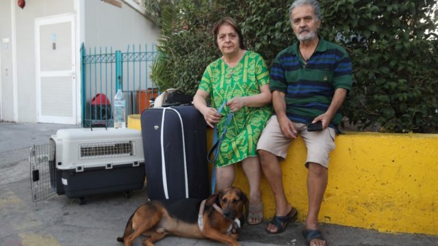 Τραγικό: Ξενοδοχεία στην Αθήνα δεν τους δέχτηκαν επειδή είχαν σκύλο – Ζευγάρι διανυκτέρευσε στο λιμάνι