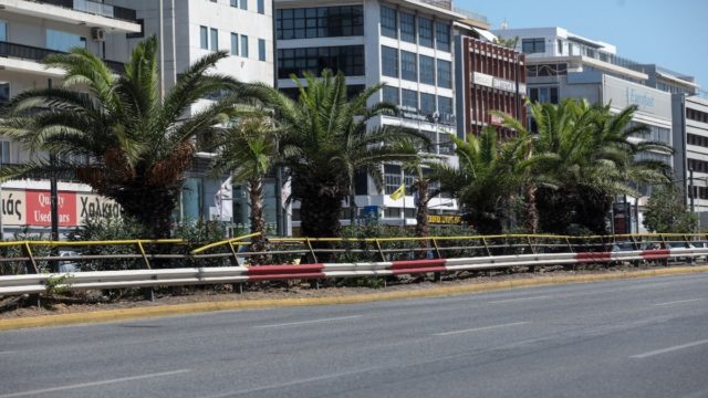 Νέα εποχή για την Λεωφόρο Συγγρού – Τοποθετήθηκαν 300 φοίνικες