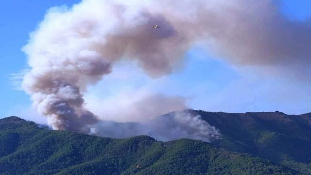 Μαίνεται η φωτιά στη Θάσο: Κάηκαν τα μοναδικά έλατα του νησιού – Στο πύρινο μέτωπο εναέρια μέσα