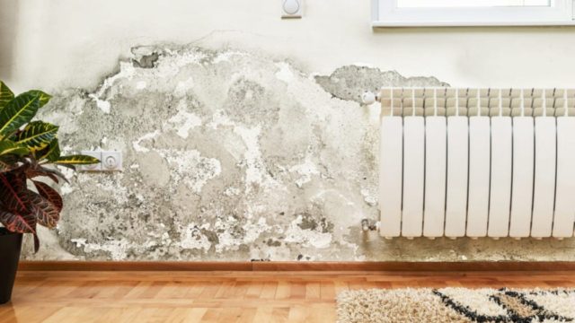 Έχετε υπερβολική υγρασία στο σπίτι σας; Το μυστικό για να απαλλαχτείτε