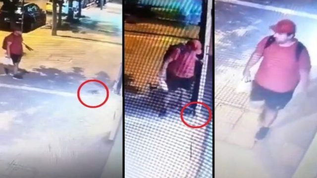 Θεσσαλονίκη: Ταυτοποιήθηκε ο άνδρας που ποδοπάτησε και σκότωσε το γατάκι