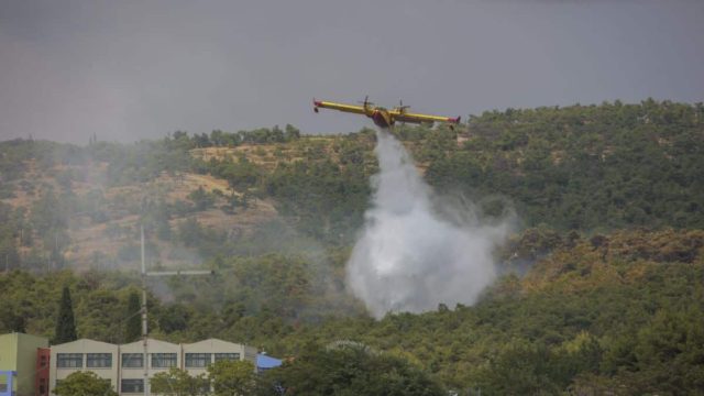 Φωτιά στο Όρος Αιγάλεω – Συναγερμός στην Πυροσβεστική