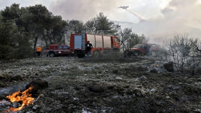 Φωτιά στο Γραμματικό Αττικής