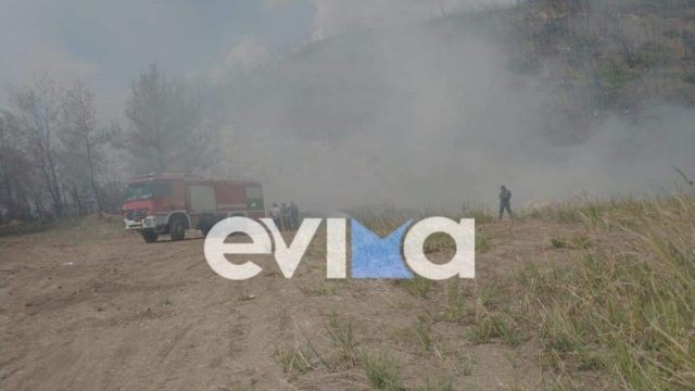 Φωτιά στην Εύβοια