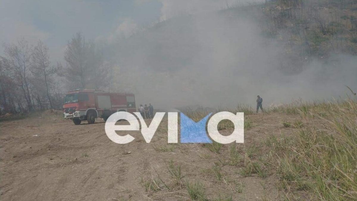 Φωτιά στην Εύβοια