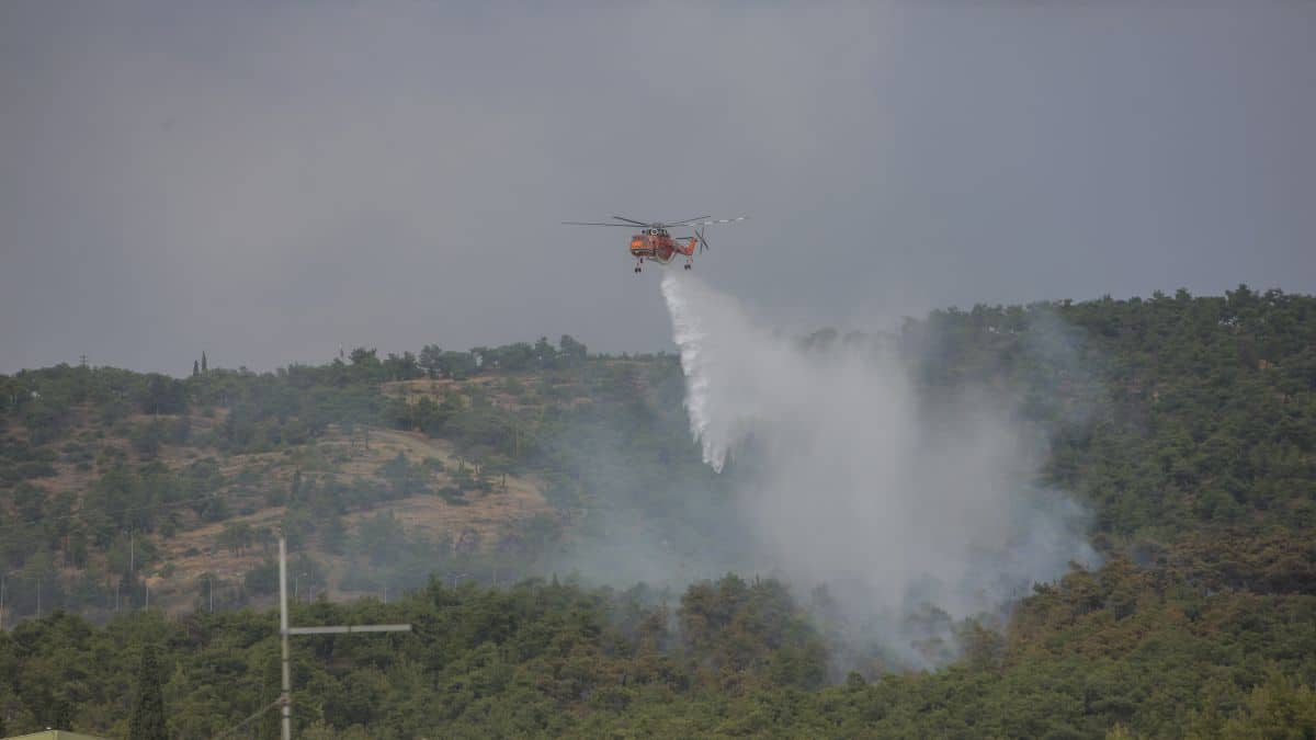 Φωτιά στη Μεσσηνία – Επιχειρούν και αεροσκάφη