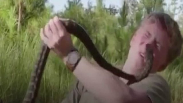 Η απόλυτη φρίκη: Η στιγμή που φίδι δαγκώνει 16χρονο στο πρόσωπο (Video)
