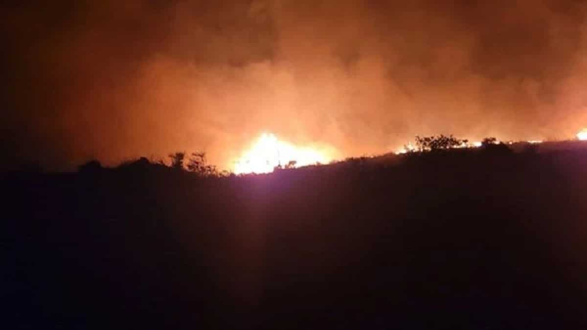 Μάχη με τις φλόγες για ακόμη μια φορά στην Κεφαλονιά: Μεγάλη κινητοποίηση της Πυροσβεστικής σε δύο πύρινα μέτωπα (video)