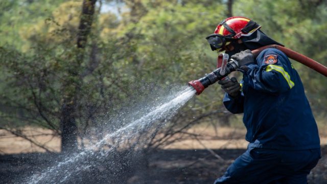 Φωτιά στο Γύθειο: Μεγάλη κινητοποίηση της Πυροσβεστικής – Εναέριες και επίγειες δυνάμεις στη μάχη με τις φλόγες