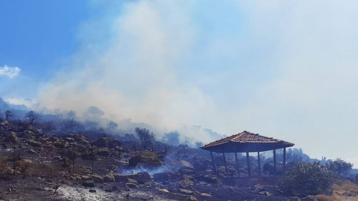 Φωτιά στην Λέσβο – Μάχη για να μην απειληθεί μεγάλο δάσος (φωτο)