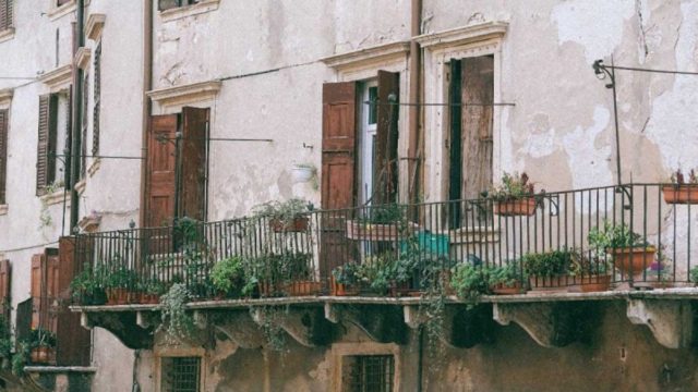 Ο «σωτήρας» των φυτών στο μπαλκόνι; Η χρήση του σκόρδου που δε γνώριζε κανείς!