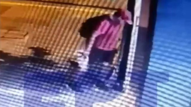 Αποτροπιασμός για νέα κτηνωδία: Άνδρας πάτησε και σκότωσε γατάκι στη Θεσσαλονίκη – Βίντεο ντοκουμέντο από κάμερα ασφαλείας