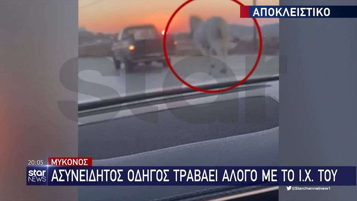 Νέο περιστατικό κακοποίησης ζώου στη Μύκονο: Έδεσε άλογο στο αυτοκίνητό του και οδηγούσε σε κεντρικό δρόμο (video)