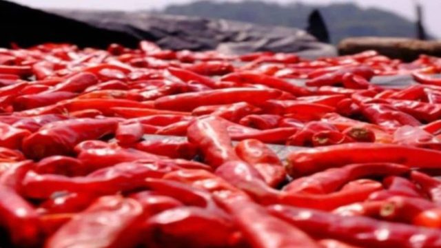 5 τροφές που απαγορεύεται να βάλετε στο φούρνο μικροκυμάτων – Μπορεί να προκληθεί έκρηξη
