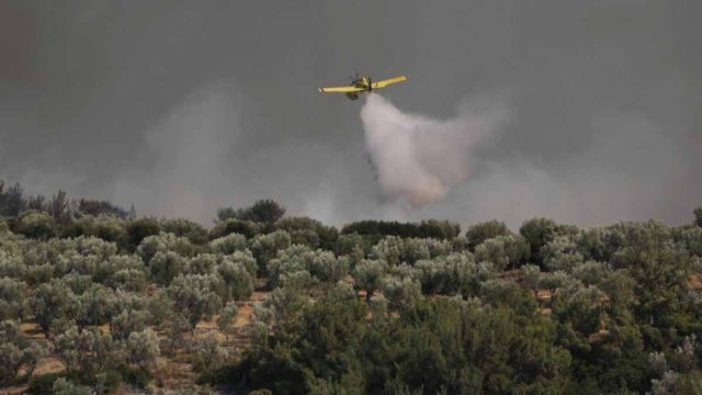 Ναύπακτος: Φωτιά σε εξέλιξη σε δασική περιοχή
