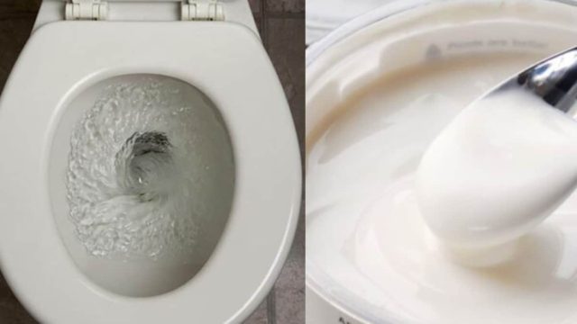 Ρίξτε το ληγμένο γιαούρτι στη λεκάνη της τουαλέτας – Δε θα πιστεύετε στα μάτια σας με το αποτέλεσμα!