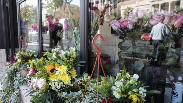 Η φωτογραφία της ημέρας: Το Σύνταγμα απέκτησε ξανά το πιο όμορφο άρωμά του…