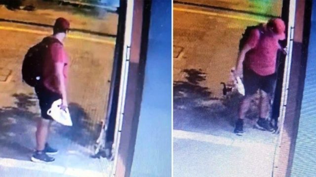 Θεσσαλονίκη: Δίωξη για φόνο ζώου στον διδάκτορα του ΑΠΘ που πάτησε και σκότωσε το γατάκι!
