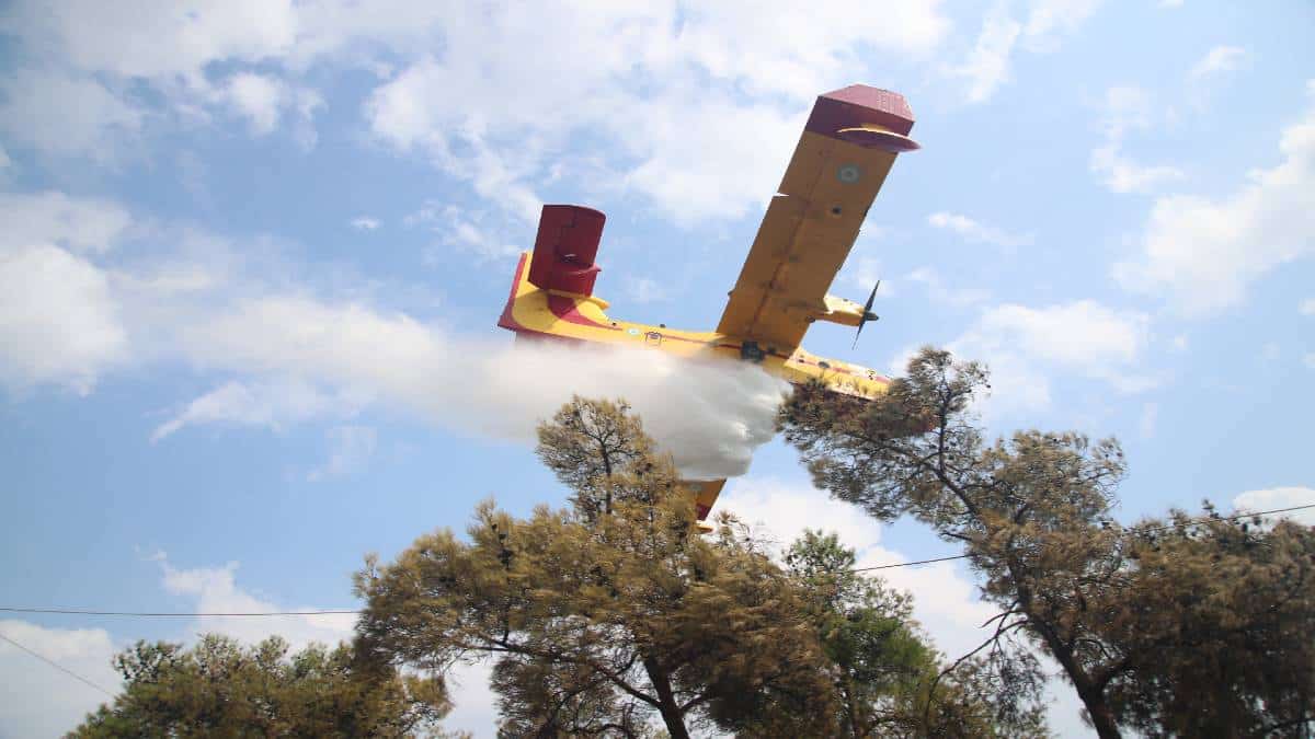 Φωτιά στη Θεσπρωτία: Επιχειρούν επίγειες και εναέριες δυνάμεις