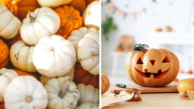 Happy Halloween πριν η κολοκύθα σας μουχλιάσει! Tips για να τη διατηρήσετε σώα και αβλαβή