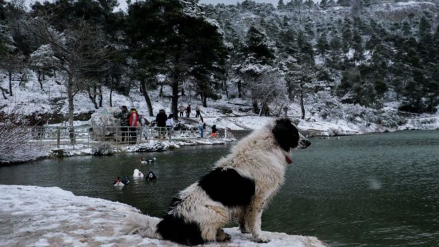 Τα Μερομήνια μίλησαν:  Ψύχος και πολλά χιόνια στην Αττική! Πολύ βαρύς χειμώνας