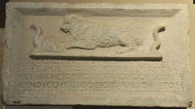 Τάφος σκυλίτσας στην αρχαία ακρόπολη των ρωμαϊκών χρόνων υπενθυμίζει την προαιώνια καλή πλευρά της σχέσης ανθρώπου και ζώων