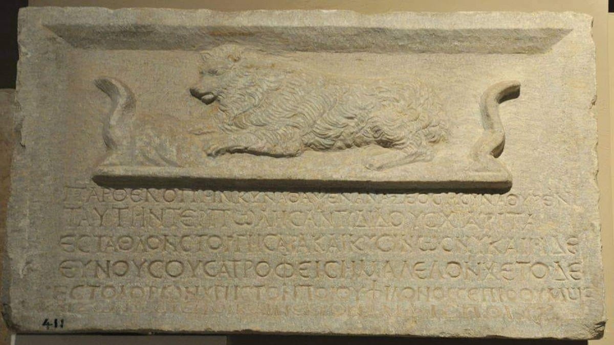 Τάφος σκυλίτσας στην αρχαία ακρόπολη των ρωμαϊκών χρόνων υπενθυμίζει την προαιώνια καλή πλευρά της σχέσης ανθρώπου και ζώων
