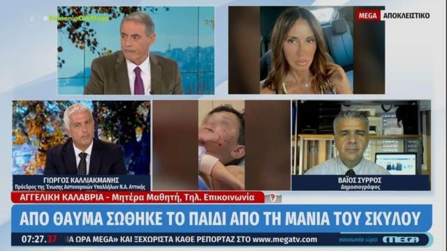 Σοκ στο Λαγονήσι: Άγρια επίθεση σκύλου σε αγοράκι την ώρα που πήγαινε σχολείο