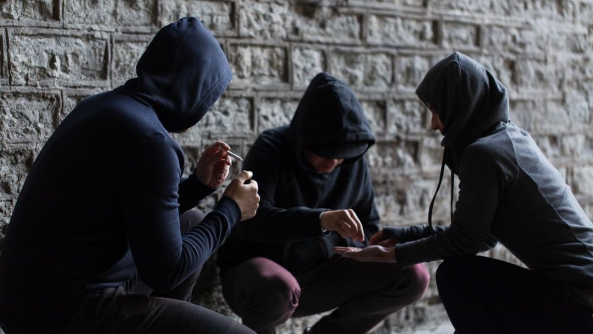Παιδεία στο έλεος της αλητείας: Τρόμος στα Πανεπιστήμια και έξαρση βίας στα σχολεία – Ανατριχιάζουν οι λεπτομέρειες για τις συμμορίες με ανενόχλητη δράση