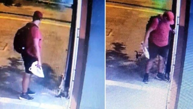 Θεσσαλονίκη: Διδάκτωρ στο ΑΠΘ ο 39χρονος που ποδοπάτησε και σκότωσε το γατάκι! Ταυτοποιήθηκε και γίνονται γνωστά στοιχεία για την ταυτότητά του (Video)