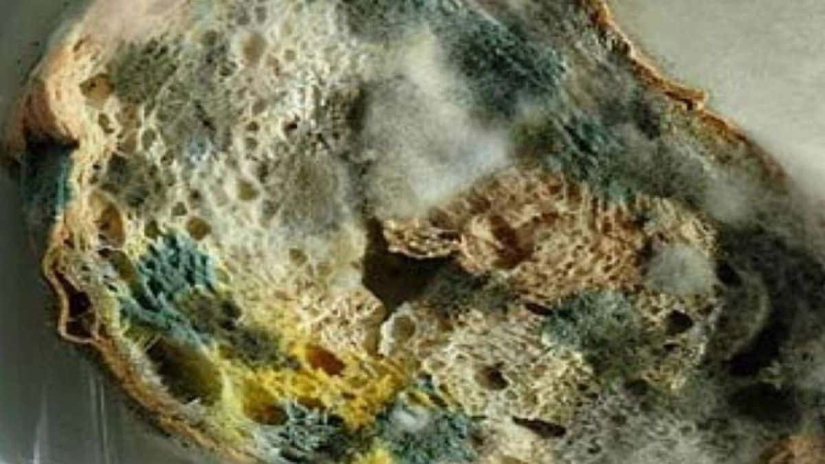 6 φαγητά και τρόφιμα που μπορείτε να καταναλώσετε και μετά την ημερομηνία λήξης τους