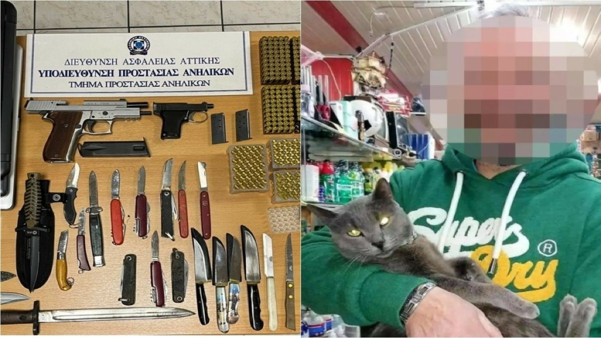 Βιασμός 12χρονης στον Κολωνό: Ο αστυνομικός γνώριζε πώς ήταν ανήλικη! Έχει υπηρετήσει στην φρουρά σημαντικού πολιτειακού προσώπου (Video)