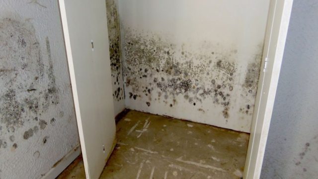 Υγρασία στις ντουλάπες: Το πανεύκολο κόλπο για να την εξαφανίσετε στην στιγμή
