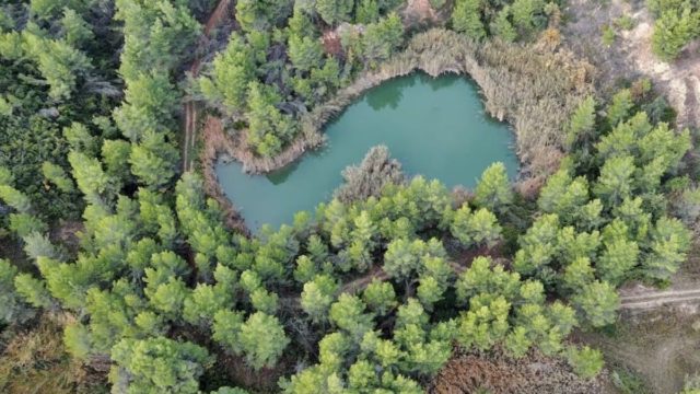 Η λίμνη “παράδεισος” μία ώρα από την Αθήνα που μαγνητίζει όποιον βρεθεί εκεί