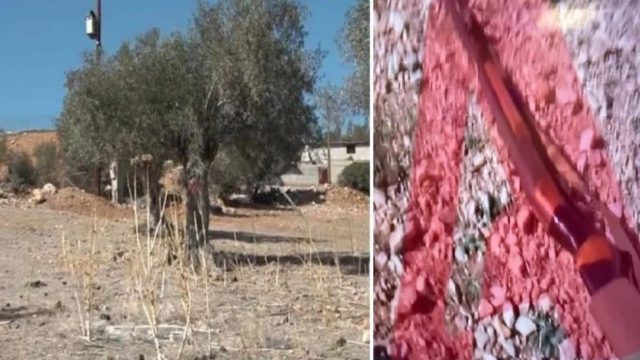 Έγκλημα στη Μάνδρα: Ίχνη κακοποίησης στον 17χρονο! Στον εισαγγελέα ο 14χρονος αδερφός του που ομολόγησε ότι τον σκότωσε – Στο «στόχαστρο» και ο πατέρας (Video)