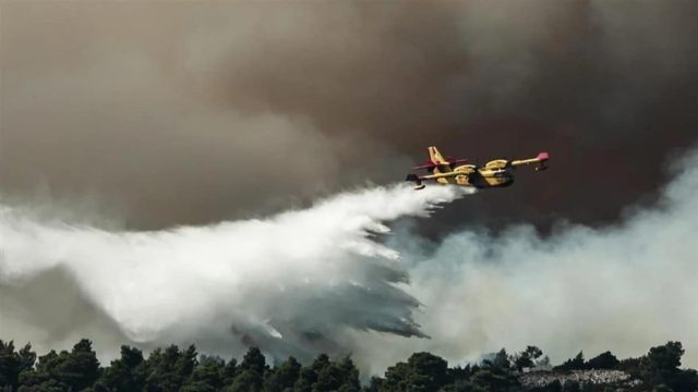 Φωτία σε εξελιξη στην Ερέτρια: Πλησιάζει ξενοδοχειακή μονάδα και κατοικημένη περιοχή