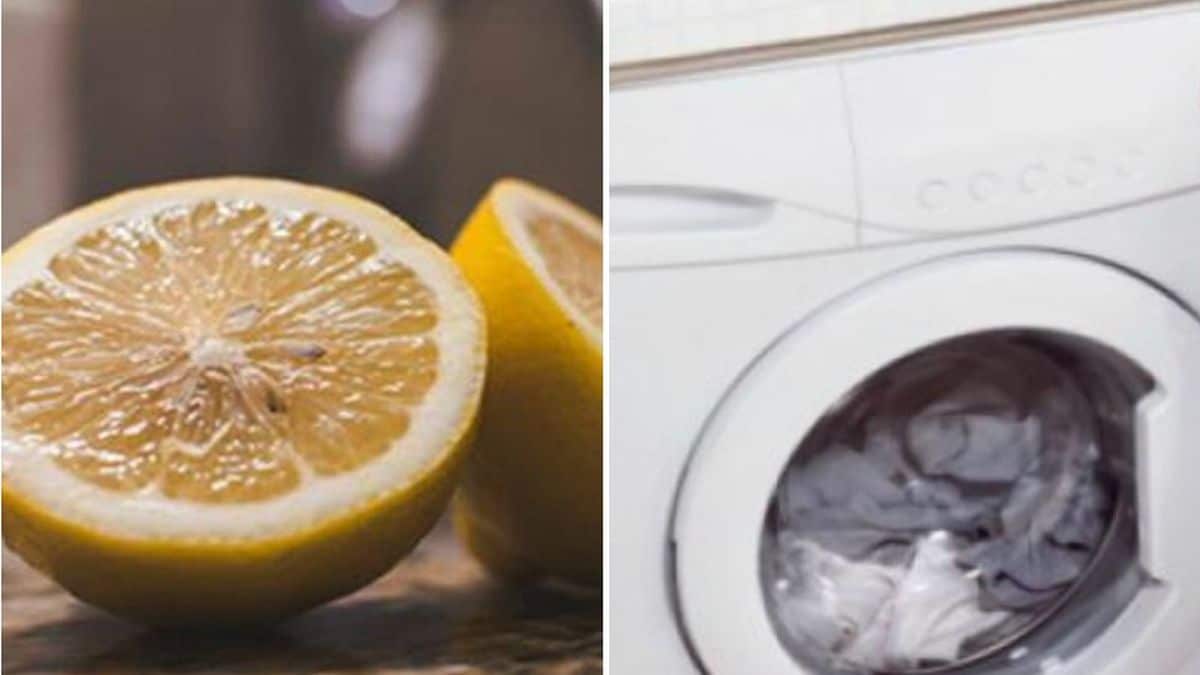 Έριξε χυμό λεμονιού στο πλυντήριο αντί για απορρυπαντικό – Μόλις δείτε το λόγο θα τρέξετε να το κάνετε