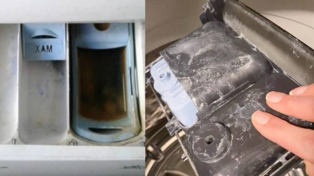 Μούχλα στο συρτάρι του πλυντηρίου; Εξαφανίστε τη με ξύδι και 1 ακόμα υλικό – Χωρίς χημικά, γρήγορα και εύκολα