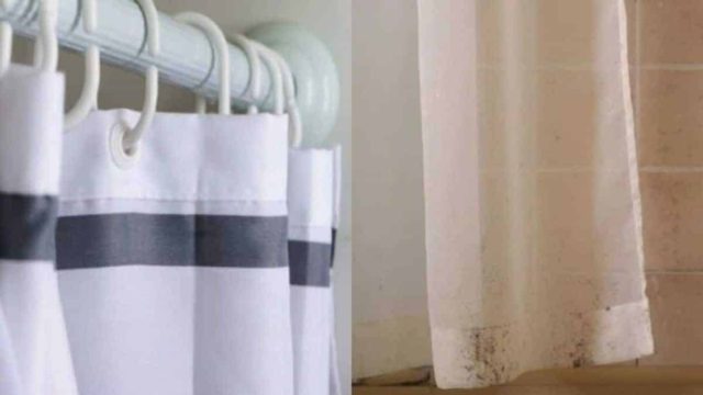Μαυρίλα από τη μούχλα στην κουρτίνα μπάνιου; Έτσι θα την καθαρίσετε ανέξοδα και εύκολα!